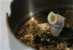 An extinguished cigarette is pictured in an ashtray in a bar in downtown Zurich September 28, 2008. REUTERS/Christian Hartmann