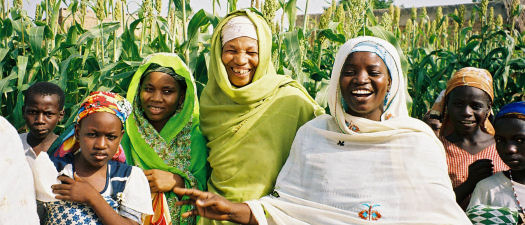 USAID is helping farmers' organizations, like this group in Kano, Nigeria, to plant and harvest higher-yielding crops. These women have boosted their incomes by producing more cowpeas than in previous years.