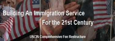 Building an Immigration Service for the Twenty-First Century Icon