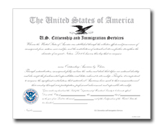 Outstanding American by Choice Certificate