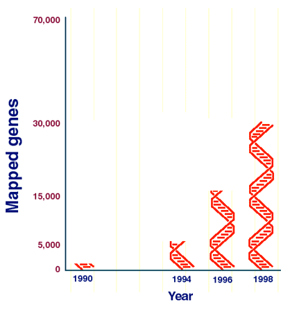 Chart 1:  Number of Mapped Genes over time