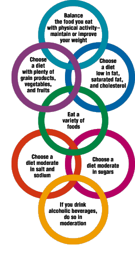 Dietary Guidelines Rings