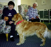 dog and elderly resident in LTC setting