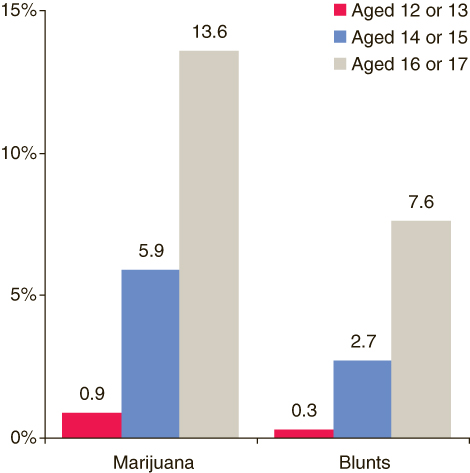 This figure is a vertical bar graph comparing percentages of past month marijuana and blunt use among youths aged 12 to 17, by age group: 2005. Accessible table located below this figure.