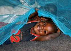 Learn more about World Malaria Day 2009. Photo of a child peeking out from an insecticide-treated net.