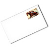 Seabiscuit #6 3/4 Regular Stamped Envelopes