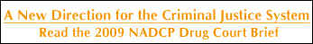 2009 NADCP Drug Court Brief