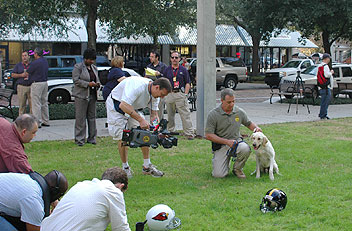 ATF canine Sunshine at canine demonstration