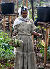 photo - Ethopian farmer standing in field with drip irrigation tubs on stilts