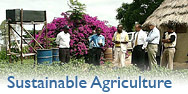 photo, spotlight sustainable agriculture
