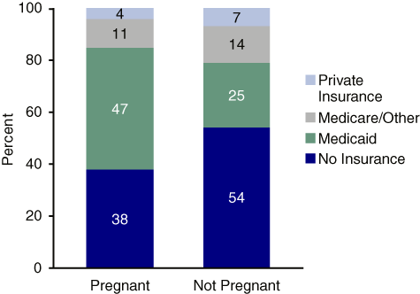Figure 3. Health Insurance Status Among Women Aged 15 to 44, by Pregnancy Status: 2002