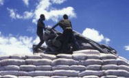 Malawi men stacking bags of wheat