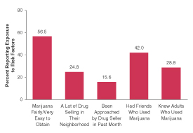 Figure 1.  Percentage of Youths Aged 12 to 17 Reporting Exposure to Risk Factors Associated with Marijuana Use:  1999