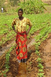 Photo: Emily Baziwell, a farmer in Malawi, amid her maize, tomato, and bean crops.