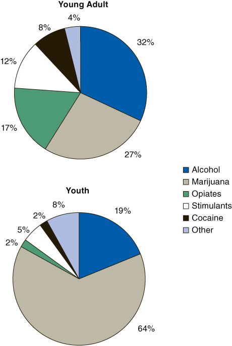Two pie charts comparing the percent of primary substances of abuse among young adult and youth admissions in 2004. Accessible table version of data below the figure.