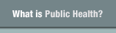 What is Public Health?