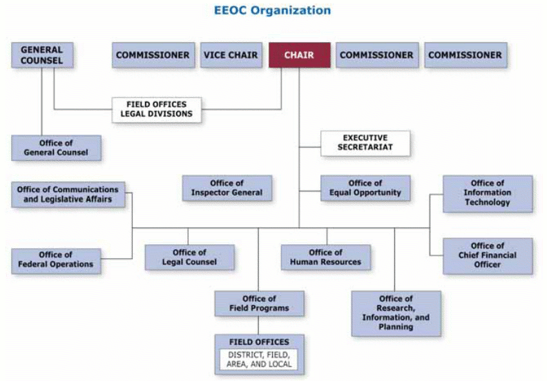 Flow Chart of Organizational Structure described in preceding section