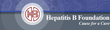 Hepatitis B Foundation