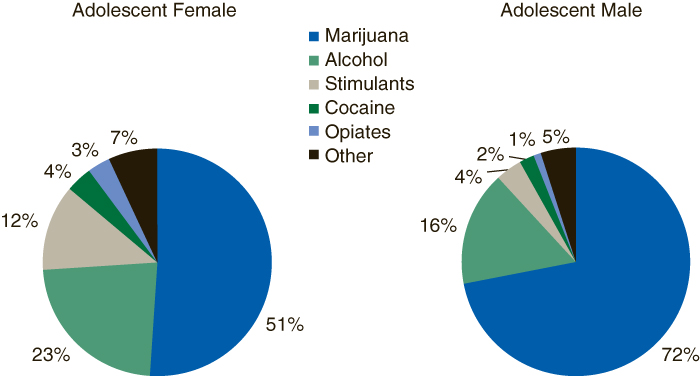 This figure is a double pie graph comparing adolescent admissions, by primary substance of abuse and gender: 2005. Accessible tables are located below this figure.