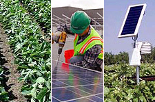 EDF has selected 15 green business innovations that drive efficiency and cut costs in a lean economy.
