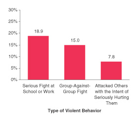 Figure 1. Percentages of Youths Aged 12 to 17 Reporting That They Participated in Different Types of Violent Behaviors in the Past Year: 2001