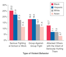 Figure 4. Percentages of Youths Aged 12 to 17 Reporting Participation in Violent Behaviors in the Past Year, by Type of Violent Behavior and Race/Ethnicity:* 2001