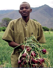 Tanzanian onion farmer