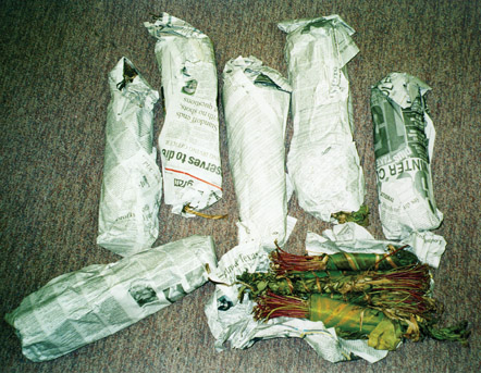 Photo of seven newspaper-wrapped bundles, one of them opened to display khat.