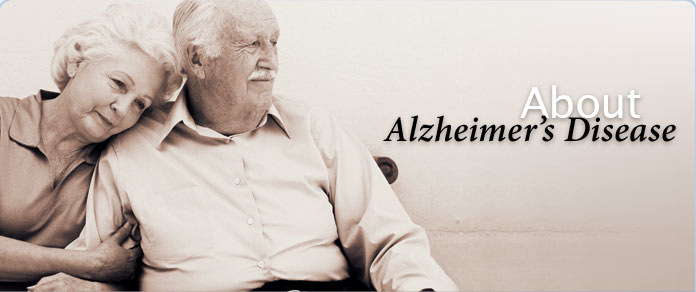 About Alzheimer's Disease
