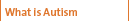 What is Autism