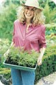 A woman holding a flat of plants.