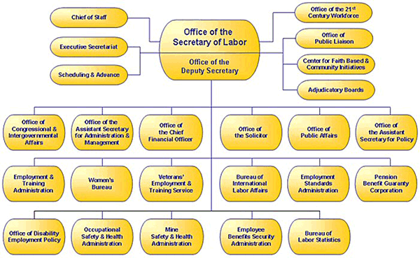 DOL Org Chart