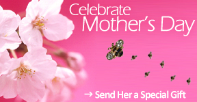 Celebrate Mother's Day banner
