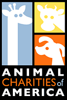 Animal charities of America