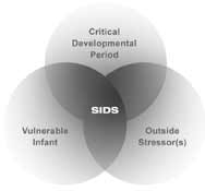 Graph of the 'Triple Risk Model' which shows that SIDS can occur where three risk factors intersect: critical development period, vulnerable infant, and outside stressors