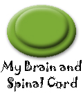 My Brain & Spinal Cord