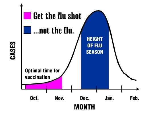 Graph depicting December through January as height of flu season