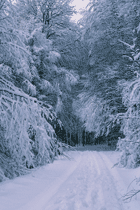 winter road