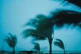 tropical storm