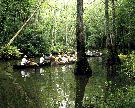 Canoeing at Bond Swamp NWR, Georgia