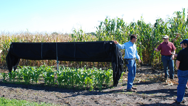 Special shade treatments demonstrated by Research Technician Fred Engstrom.