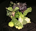 Researchers will study the genetics of Brassica species like canola and Brussels sprouts.