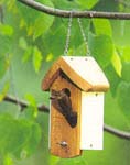 {Bird house image}