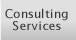 Consulting Services