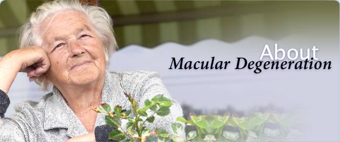About Macular Degeneration