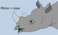 A picture of a Rhino.
