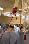 Bags of blood used for transfusion during a surgery are seen in a handout photo. REUTERS/Newscom