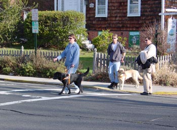 Students crossing a Port Jefferson street.