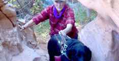 Blind person being led over rocky terrain by black Labrador in harness.