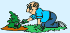 Image a man gardening